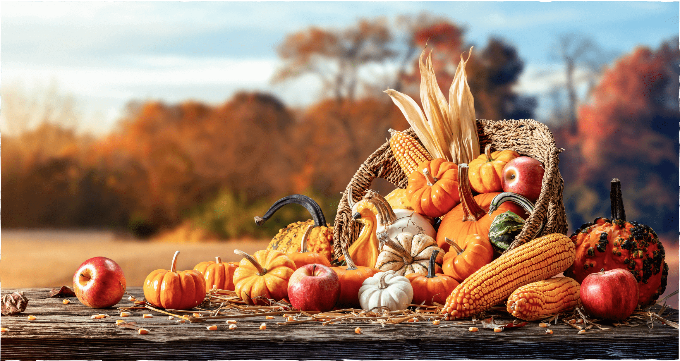 Herbstlicher Erntedank-Tisch mit Obst und Gemüse