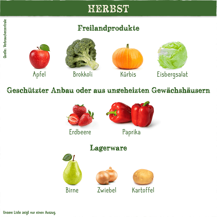 Saisonkalender Herbst